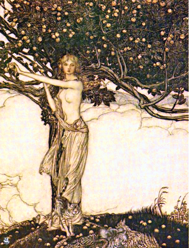 Freya arthur rackham