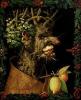 Giuseppe arcimboldo winter 1573